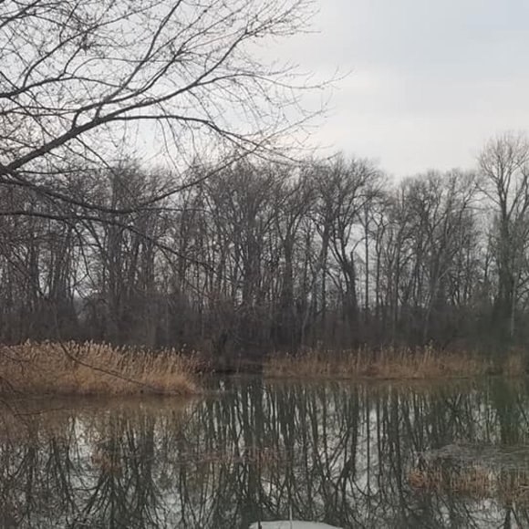 Meet your Posher, - Picture 3 of 3